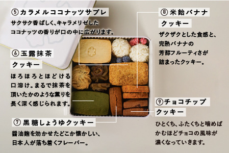 Keiku no クッキー大作戦--mini-- 【野尻ケイク】