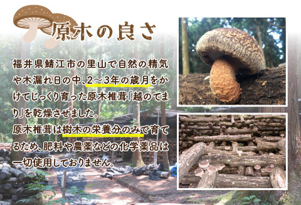 農家釜めしの素 越のてまり原木椎茸と野菜 186ｇ(1袋）×5袋