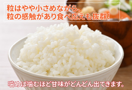 【令和7年産】ピロール農法 コシヒカリ精米5kg 真空パック