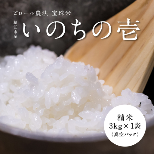 【令和7年産】ピロール農法 宝珠米 いのちの壱