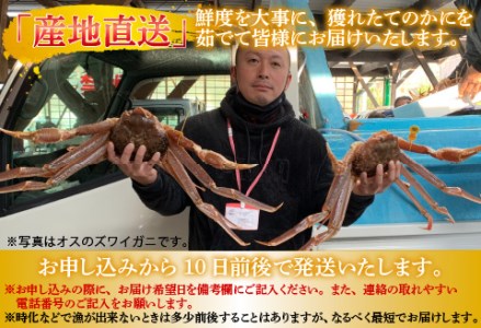 【特別価格期間延長!】【産地直送】福井★冬の味覚王『越前せいこがに甲羅盛6個セット』