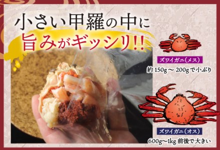 越前がに（メス）「せいこがに」身出し甲羅盛り 70g × 2杯