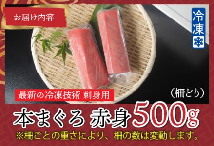 【刺身用】本マグロ赤身 500g（柵どり）【最新の冷凍技術】