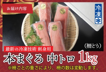  【刺身用】本マグロ　中トロ　1kg（柵どり）【最新の冷凍技術】