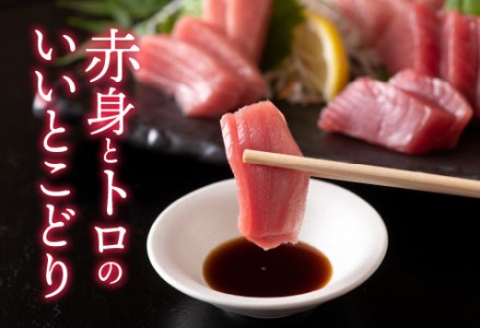 【定期便】【2ヶ月連続お届け】刺身用！本マグロ　中トロ（柵どり）1kg × 2回【最新の冷凍技術】