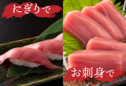 【定期便】【2ヶ月連続お届け】刺身用！本マグロ　中トロ（柵どり）1kg × 2回【最新の冷凍技術】