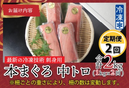【定期便】【2ヶ月連続お届け】刺身用！本マグロ　中トロ（柵どり）1kg × 2回【最新の冷凍技術】