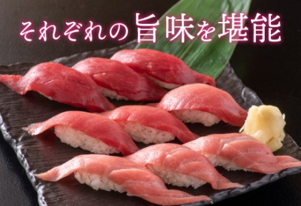 【定期便】【3ヶ月連続お届け】 刺身用!本マグロ堪能セット(柵どり)計900g × 3回【最新の冷凍技術】