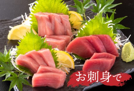 【定期便】【3ヶ月連続お届け】 刺身用!本マグロ堪能セット(柵どり)計900g × 3回【最新の冷凍技術】