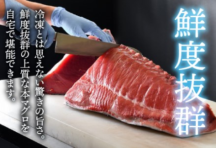 【定期便】【4ヶ月連続お届け】 刺身用！本マグロ堪能セット（柵どり）計900g × 4回【最新の冷凍技術】