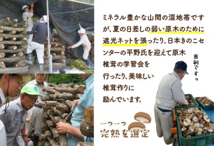 鯖江市産 原木乾燥椎茸「越のてまり」 （大・中サイズ）3パック &（小サイズ）2パック　計5パック