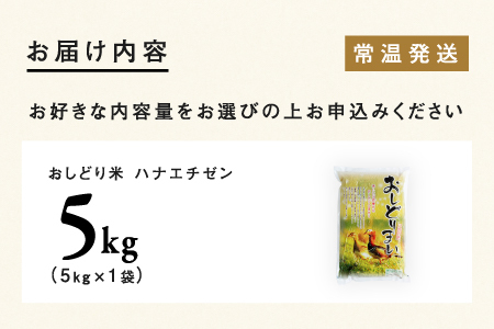 【令和7年産】福井県産 おしどり米 ハナエチゼン 5kg