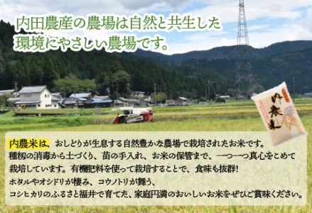 【令和5年産】福井県産 内農米 コシヒカリ 10kg