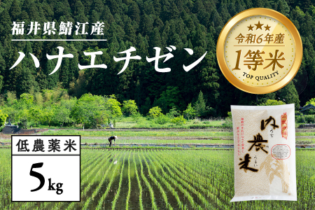 【令和4年産 新米】福井県産 内農米 華越前 5kg