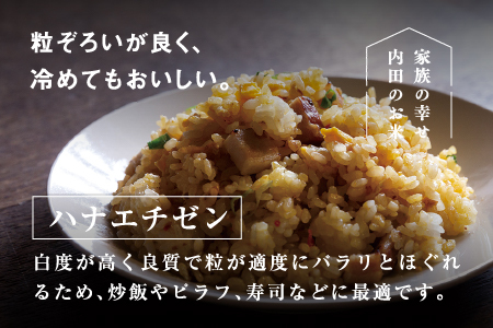 【令和7年産】福井県産 内農米 ハナエチゼン 10kg