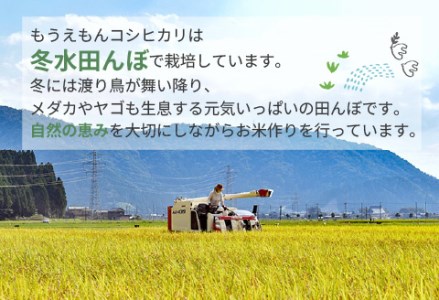 【令和7年産】冬水田んぼでつくる 特別栽培米 もうえもん コシヒカリ（5kg × 1袋）真空パック