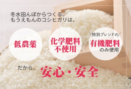 【令和7年産】冬水田んぼでつくる 特別栽培米 もうえもん コシヒカリ（5kg × 1袋）真空パック