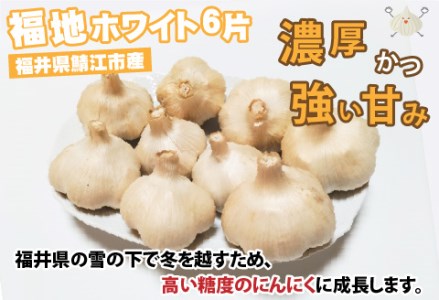 福井県鯖江市産 福地ホワイト6片 にんにく700g
