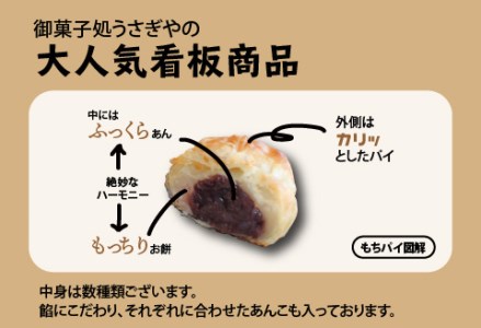 御菓子処うさぎや看板商品『もちパイ』詰め合わせ