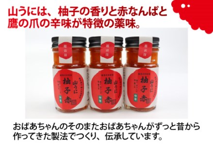 鯖江の伝統薬味「山うに」柚子赤3本セット 中辛