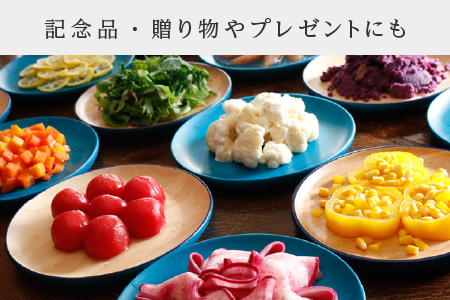 Kyutarou BLUE 両面丸皿 スタンダード