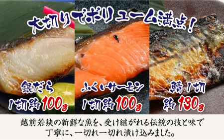 食の力セット 極(銀だら・ふくいサーモン・鯖)13種