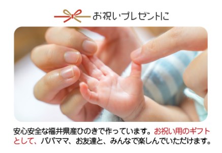 がおがお恐竜つみつみ ~ 全部で10頭!~ 福井県産ひのきの木のおもちゃ ~