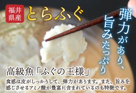 【最新の冷凍技術】福井県産とらふぐのお刺身（てっさ）2人前 約60g
