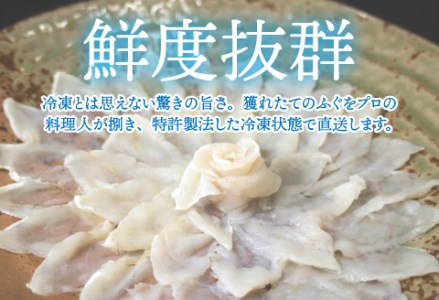 【最新の冷凍技術】福井県産とらふぐのお刺身（てっさ）4人前 約120g