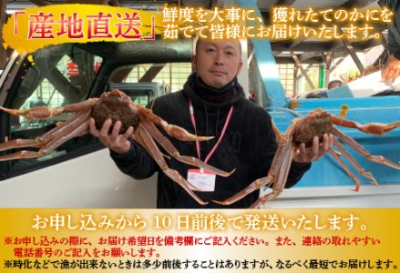 【特別価格期間延長!】【産地直送】福井冬の味覚!越前がに 1杯 1.1~1.2kg