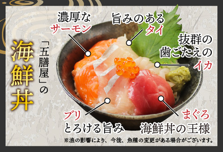 【刺身用】海鮮丼の具5種盛り（マグロ・サーモン・タイ・イカ・ブリ）60g（タレ付）× 5人前【最新の冷凍技術】