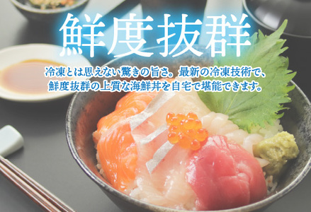 【刺身用】海鮮丼の具5種盛り(マグロ・サーモン・タイ・イカ・ブリ)60g(タレ付)× 5人前【最新の冷凍技術】