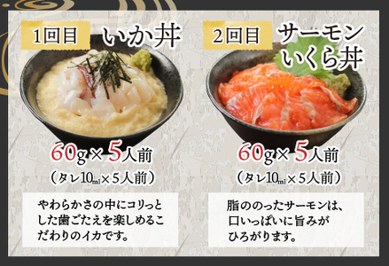 【6ヶ月連続お届け】【定期便】【刺身用】おまかせ海鮮丼の具 60g(タレ付)× 5人前 × 6回【最新の冷凍技術】