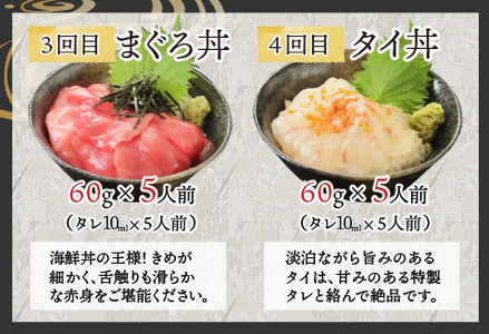 【6ヶ月連続お届け】【定期便】【刺身用】おまかせ海鮮丼の具 60g(タレ付)× 5人前 × 6回【最新の冷凍技術】