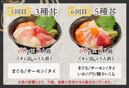 【6ヶ月連続お届け】【定期便】【刺身用】おまかせ海鮮丼の具 60g(タレ付)× 5人前 × 6回【最新の冷凍技術】