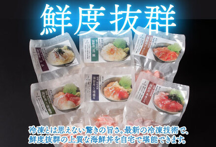 【6ヶ月連続お届け】【定期便】【刺身用】おまかせ海鮮丼の具 60g(タレ付)× 5人前 × 6回【最新の冷凍技術】