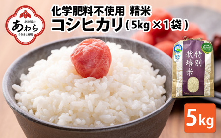 【令和6年産】 化学肥料不使用コシヒカリ  精米5kg（5kg×1袋） / 白米 米 福井県あわら市産 美味しい 特別栽培米 減農薬 安心な米 旨味 甘み もっちり エコファーマー こしひかり 冷蔵保管米 新米