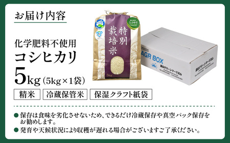 【令和6年産】 化学肥料不使用コシヒカリ  精米5kg（5kg×1袋） / 白米 米 福井県あわら市産 美味しい 特別栽培米 減農薬 安心な米 旨味 甘み もっちり エコファーマー こしひかり 冷蔵保管米 新米