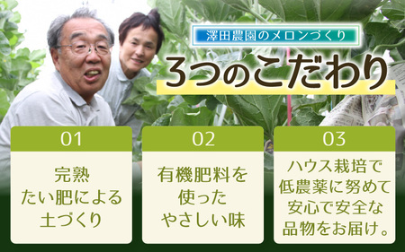 【先行予約】青肉マスクメロン（1.5kg以上 1玉入）味も見た目も抜群！アールスメロン  / あわら 期間限定 果物 フルーツ 産地直送 青肉 人気 ギフト 贈答 ※2026年7月上旬より順次発送  [aw039-a015]