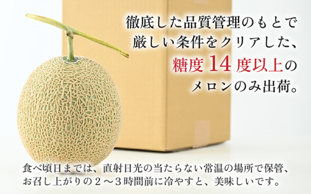 【先行予約】【赤肉】秋 アールスメロン 1玉（約1.6kg以上） 高級メロン！ ／ マスクメロン 大玉 果物 フルーツ 夏 ギフト 農家直送 ※2026年9月中旬以降発送  [aw065-a010]