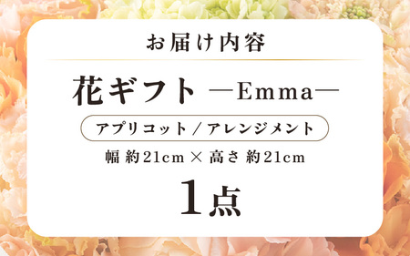 気分を変える花ギフト Emma(アレンジメント・アプリコット) [aw062-a006_05]