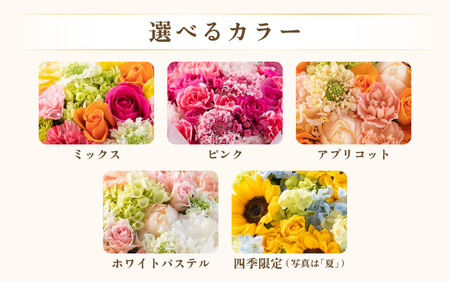 気分を変える花ギフト Emma(アレンジメント・四季限定アイテム) [aw062-a006_09]
