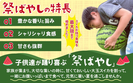 【先行予約】藤重農園の大玉スイカ『祭ばやし』 1玉（7kg～） ≪満足度高い大きなスイカ≫／ 果物 フルーツ 西瓜 すいか ギフト 農家直送 美肌 ビタミン豊富 福井県 あわら市 なんとリコピンはトマトの1.5倍！ ※2026年6月中旬以降順次発送 [aw083-a001]