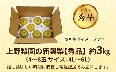 先行予約】上野梨園の新興梨 約3kg 4L～6L【秀品】《数量限定》梨園直送！ / 期間限定 果物 フルーツ 農家直送 シャキシャキ もぎたて 旬  お取り寄せ ※2024年10月上旬より順次発送 | 福井県あわら市 | ふるさと納税サイト「ふるなび」