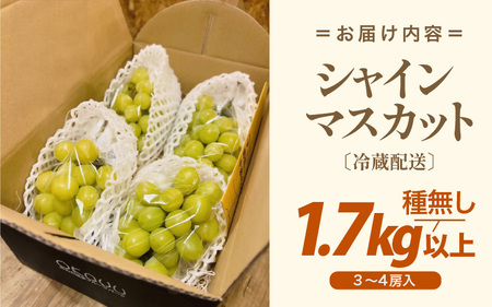 【先行予約】厳選シャインマスカット 1.7kg以上（3～4房）【種なし】フルーツパークOKAYU / 葡萄 シャインマスカット 完熟 旬 フルーツ 果物 福井県 あわら市 あわら産 農家おすすめ 皮ごと食べれる 甘い 高級 人気 ※2026年9月中旬より順次発送 [aw007-b004]