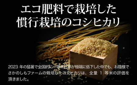 先行予約】【令和6年産】《定期便6回》エコ栽培コシヒカリ 玄米10kg（5kg×2袋）計60kg ／ 5kg×2） ／ 鮮度抜群 福井県産 こしひかり  ご飯 新鮮 玄米 新米 ※2024年10月上旬より準備出来次第発送 | 福井県あわら市 | ふるさと納税サイト「ふるなび」