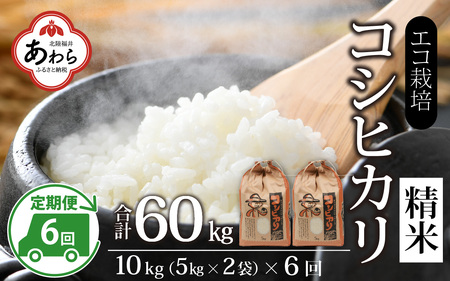 【先行予約】【令和7年産 新米】《定期便6回》エコ栽培コシヒカリ 白米10kg（5kg×2袋）計60kg ／ 鮮度抜群 福井県産 こしひかり ご飯 新鮮 白米 ※2025年10月上旬より準備出来次第発送