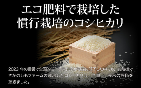 【先行予約】【令和7年産 新米】《定期便6回》エコ栽培コシヒカリ 白米10kg（5kg×2袋）計60kg ／ 鮮度抜群 福井県産 こしひかり ご飯 新鮮 白米 ※2025年10月上旬より準備出来次第発送