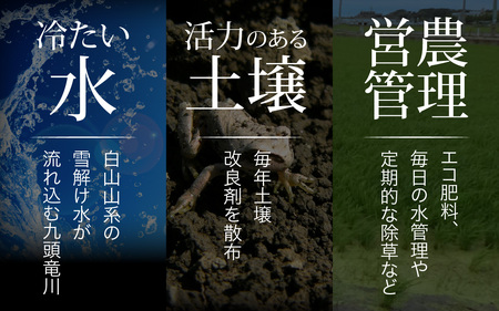 【先行予約】【令和7年産 新米】《定期便6回》エコ栽培コシヒカリ 白米10kg（5kg×2袋）計60kg ／ 鮮度抜群 福井県産 こしひかり ご飯 新鮮 白米 ※2025年10月上旬より準備出来次第発送