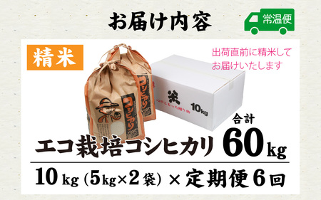 【先行予約】【令和7年産 新米】《定期便6回》エコ栽培コシヒカリ 白米10kg（5kg×2袋）計60kg ／ 鮮度抜群 福井県産 こしひかり ご飯 新鮮 白米 ※2025年10月上旬より準備出来次第発送